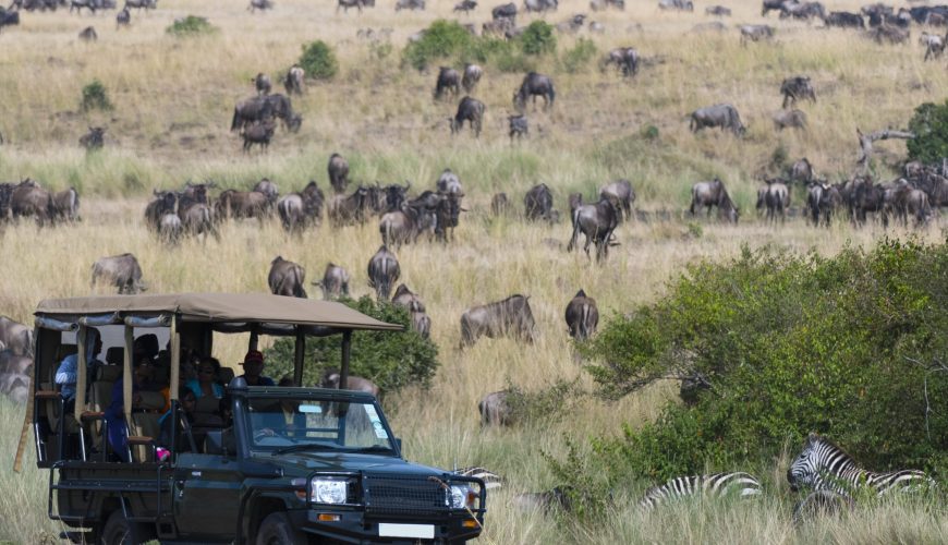 Authentic, Affordable East Africa Safaris