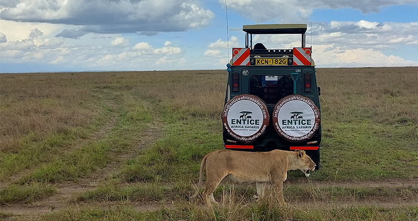 2-days-1-night-maasai-mara-kenya-safari-by-road