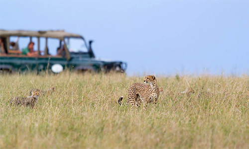 8-day-kenya-safari