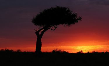 sunset 1