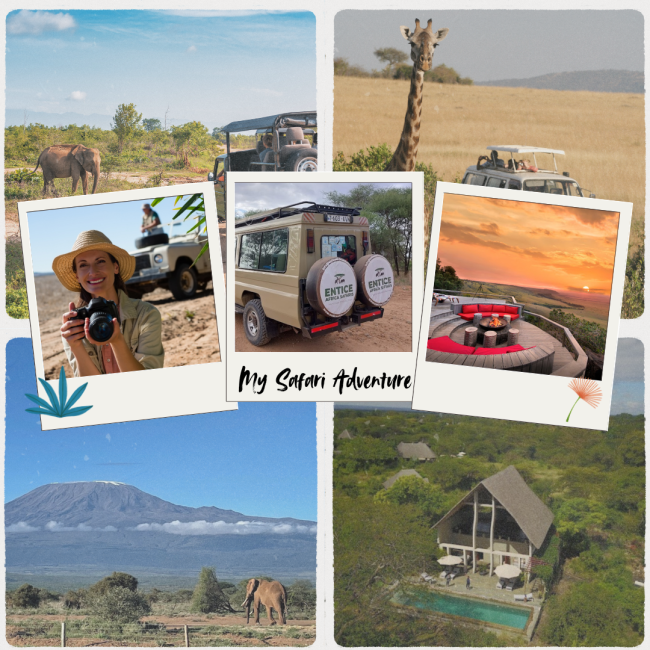 Green and Blue Safari Travel Instagram Post