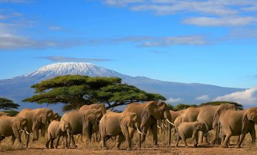 3-days-amboseli-national-park-safari-1