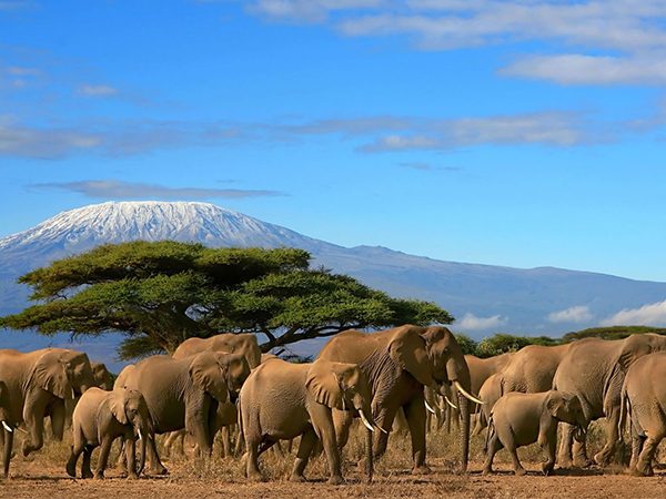 3-days-amboseli-national-park-safari-1