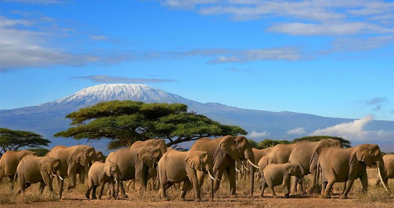 3-days-amboseli-national-park-safari-1