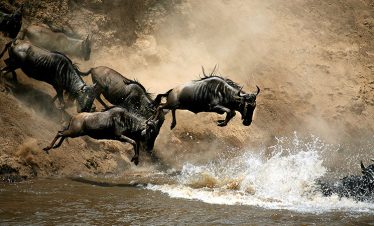 5-days-masai-mara-migration-safari-1-1