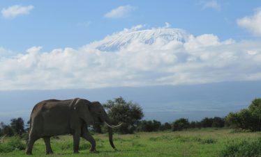 Amboseli National Park, Kenya