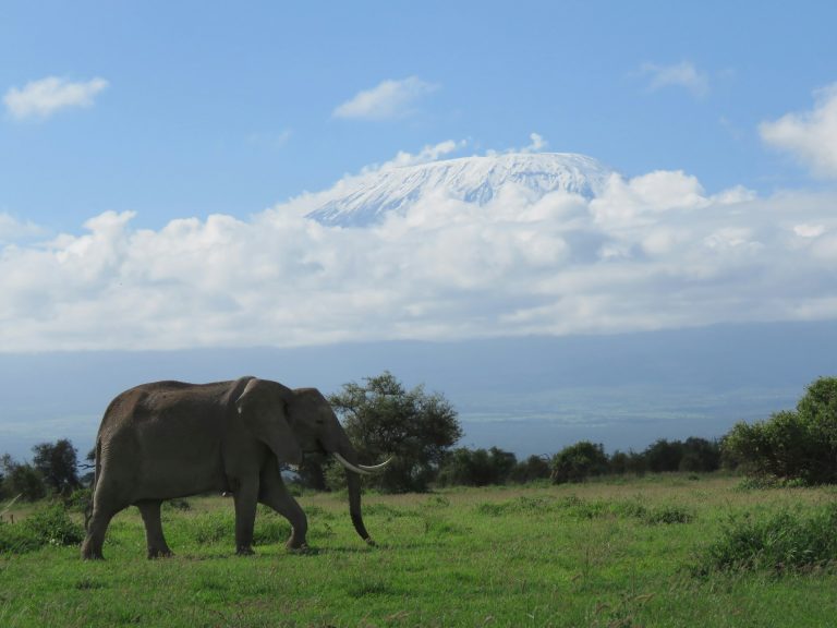 Amboseli National Park, Kenya