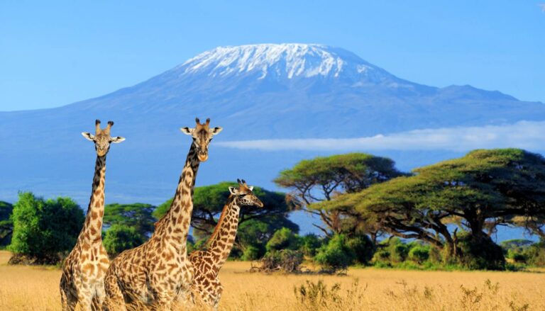 Amboseli-national-park-Kenya