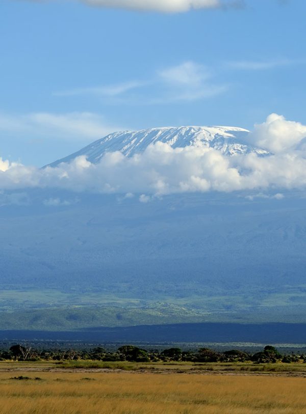 Amboseli safari_0000_kilimanjaro-on-african-savannah-2025-04-01-14-26-53-utc