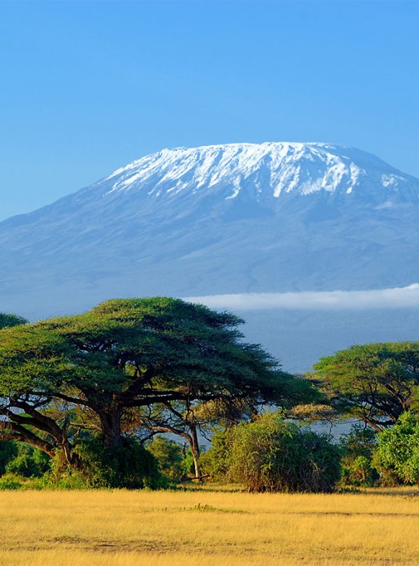 Amboseli safari_0001_kilimanjaro-on-african-savannah-2025-03-25-12-58-24-utc