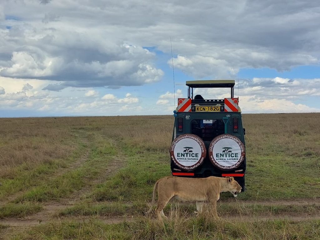 Entice-Safaris-4
