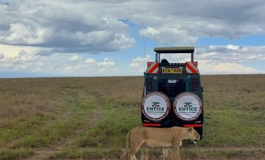 Entice-Safaris-4