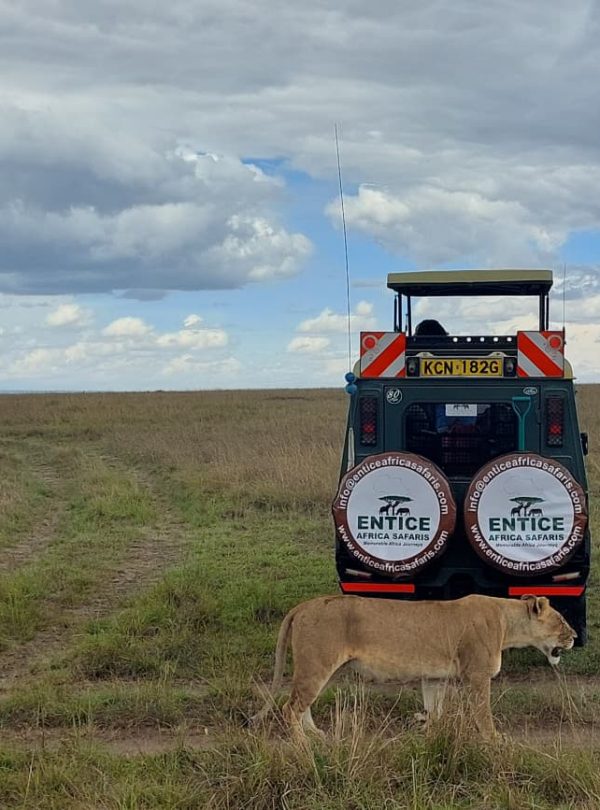 Entice-Safaris-4