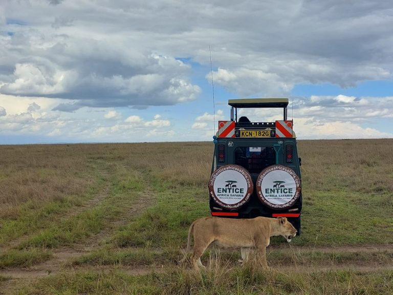 Entice-Safaris-4