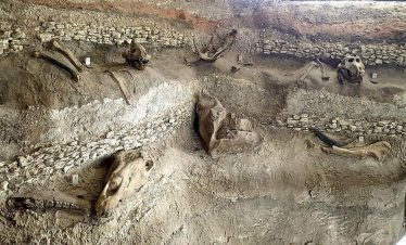 Olorgesailie Pre Historic Site