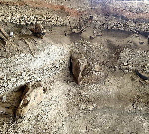 Olorgesailie Pre Historic Site