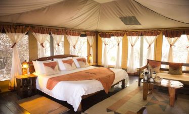 Wings Over the Wild An Aerial Safari From Nairobi to Samburu and the Mara (4)