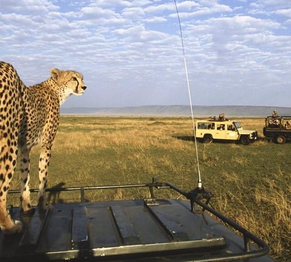 Wings Over the Wild An Aerial Safari From Nairobi to Samburu and the Mara (5)