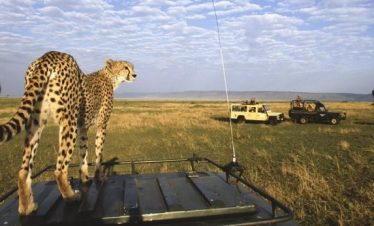 Wings-Over-the-Wild-An-Aerial-Safari-From-Nairobi-to-Samburu-and-the-Mara-5-768x346