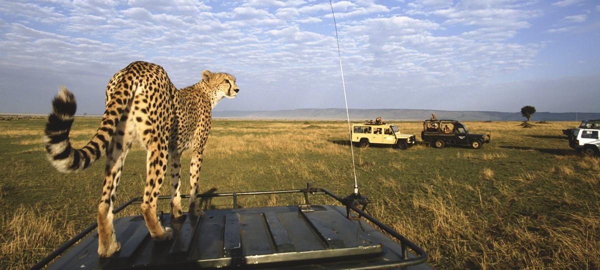 Wings-Over-the-Wild-An-Aerial-Safari-From-Nairobi-to-Samburu-and-the-Mara-5