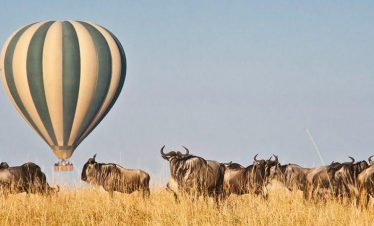Wings-Over-the-Wild-An-Aerial-Safari-From-Nairobi-to-Samburu-and-the-Mara-6