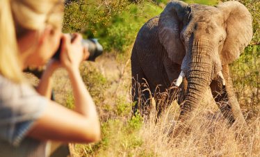 cropped-shot-of-a-female-tourist-taking-photograph-2025-04-06-01-06-12-utc (2)