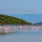 lake nakuru