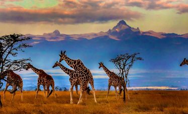 maasai-mara-game-reserve-footer