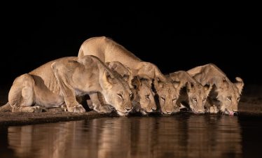 maasai mara safaris (4)
