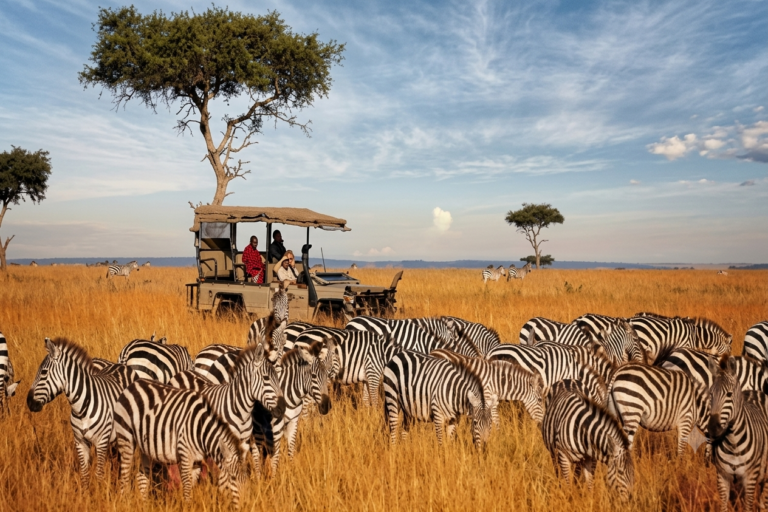 mara-zebra