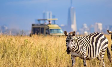 nairobi-half-day-tour-1-1 (1)