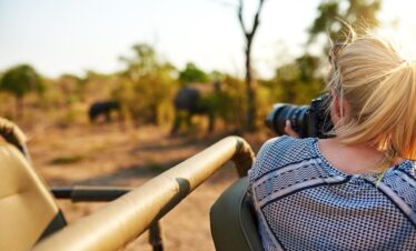 Photography Safari