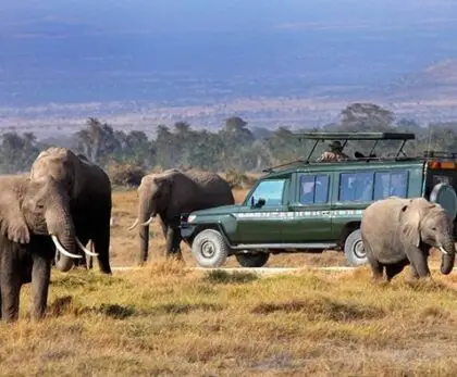 Kenya safari