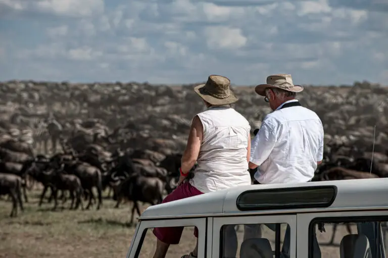 Tourists watching wildebeest migration  in serengeti national park