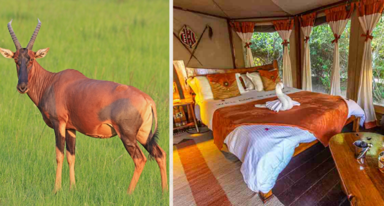 Samburu National Reserve