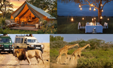African safari for seniors
