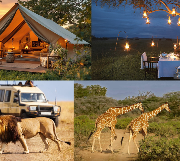 African safari for seniors