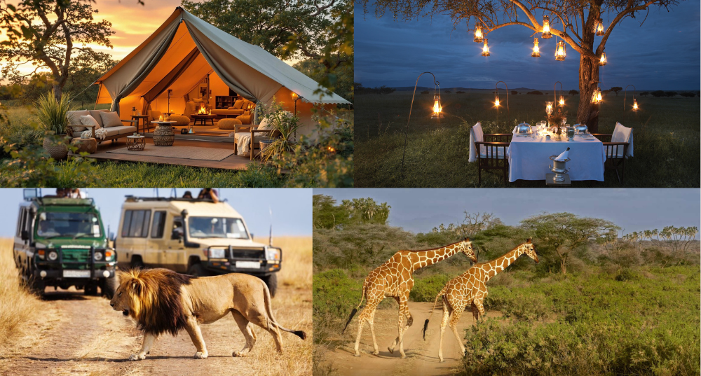 African safari for seniors