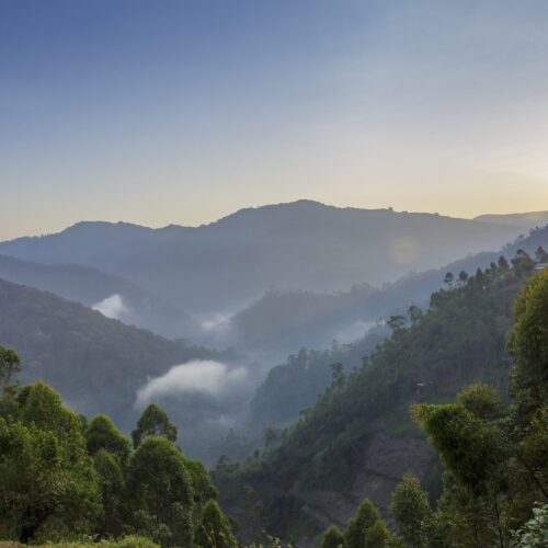 Misty valleys and forested ridges at sunrise in Bwindi Impenetrable National Park, Uganda