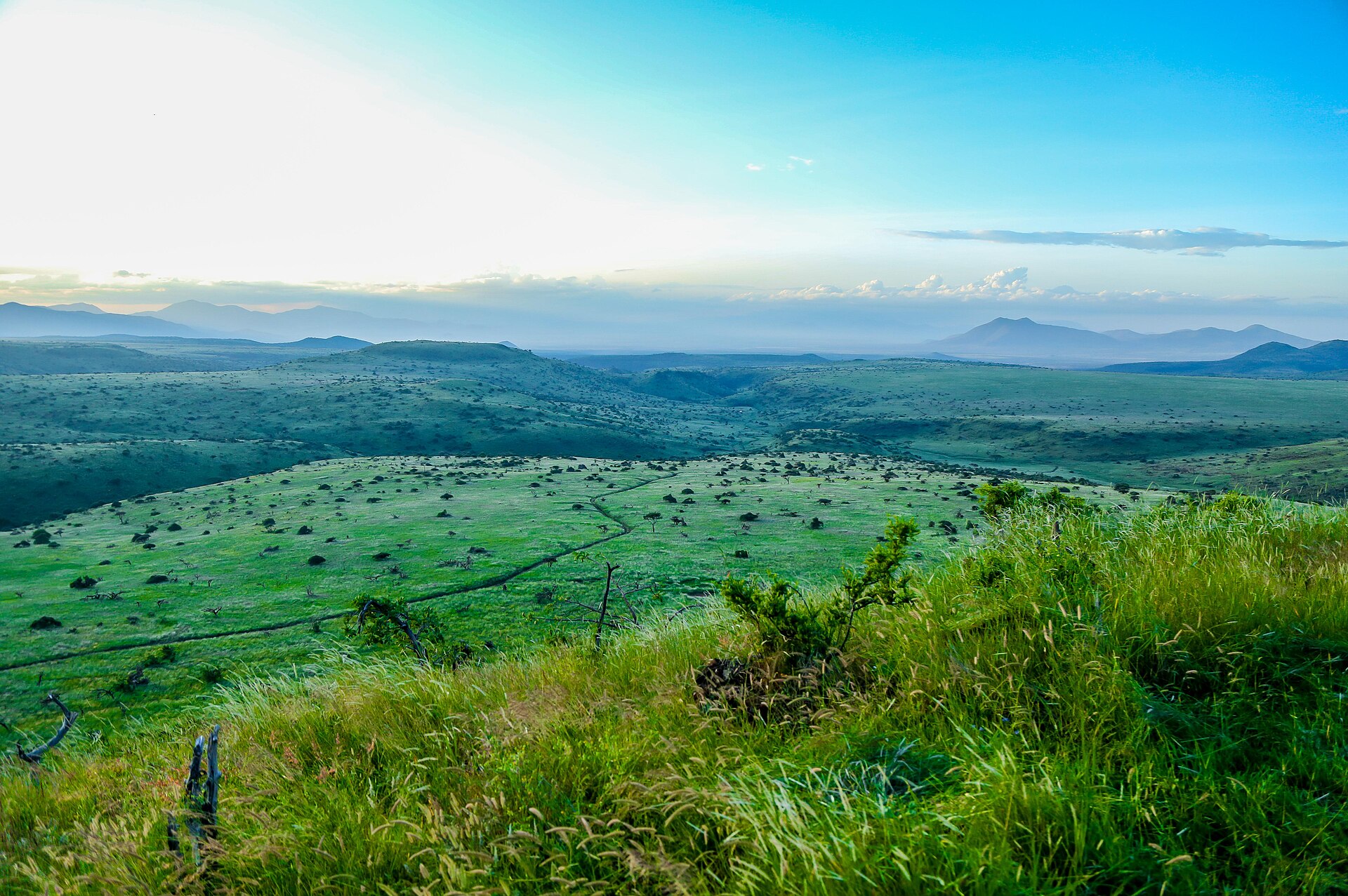 Lewa Wildlife Conservancy, northern Kenya