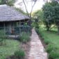 A tented safari camp in the Masai Mara area, Kenya
