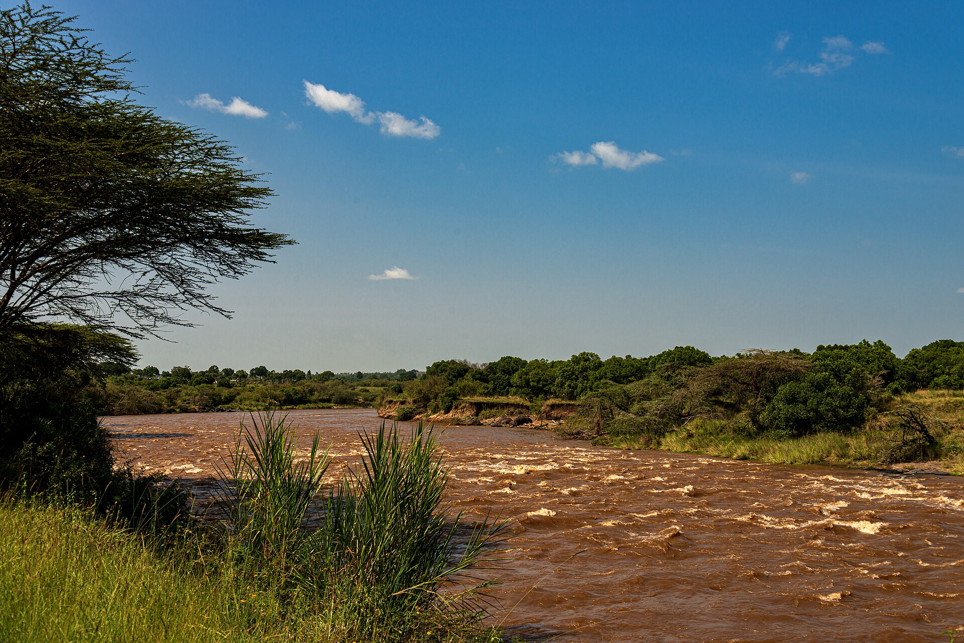 The Mara River at Karen Blixen Camp, Mara North Conservancy, Kenya
