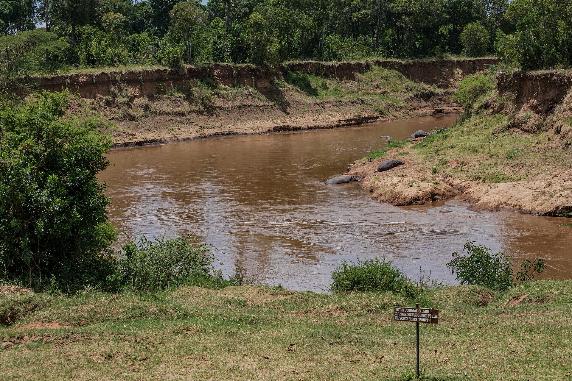 Masai Mara National Reserve, Kenya