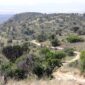 The road to Lewa in northern Kenya, with Mount Kenya country around it