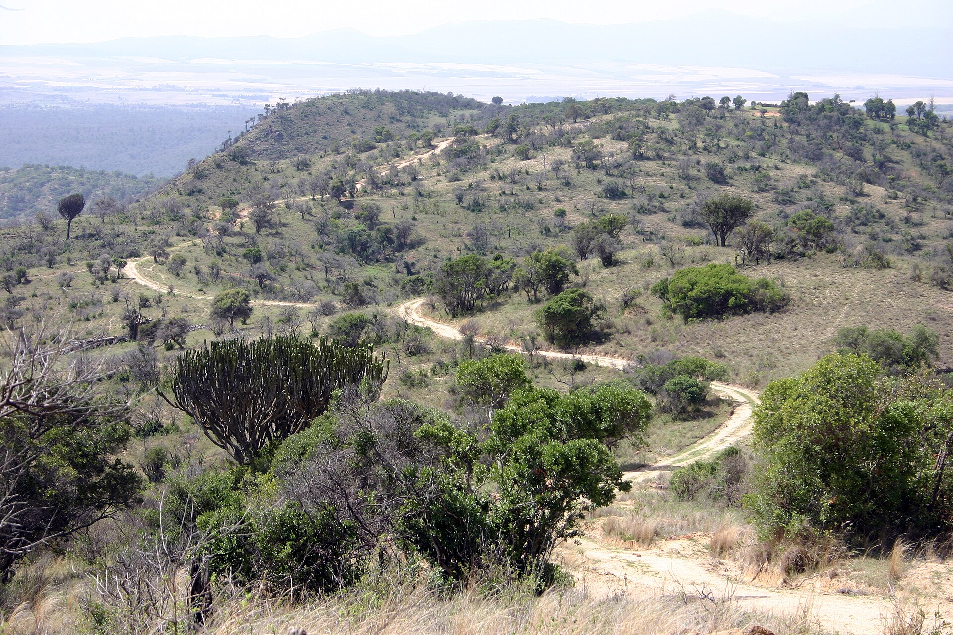 The road to Lewa in northern Kenya, with Mount Kenya country around it