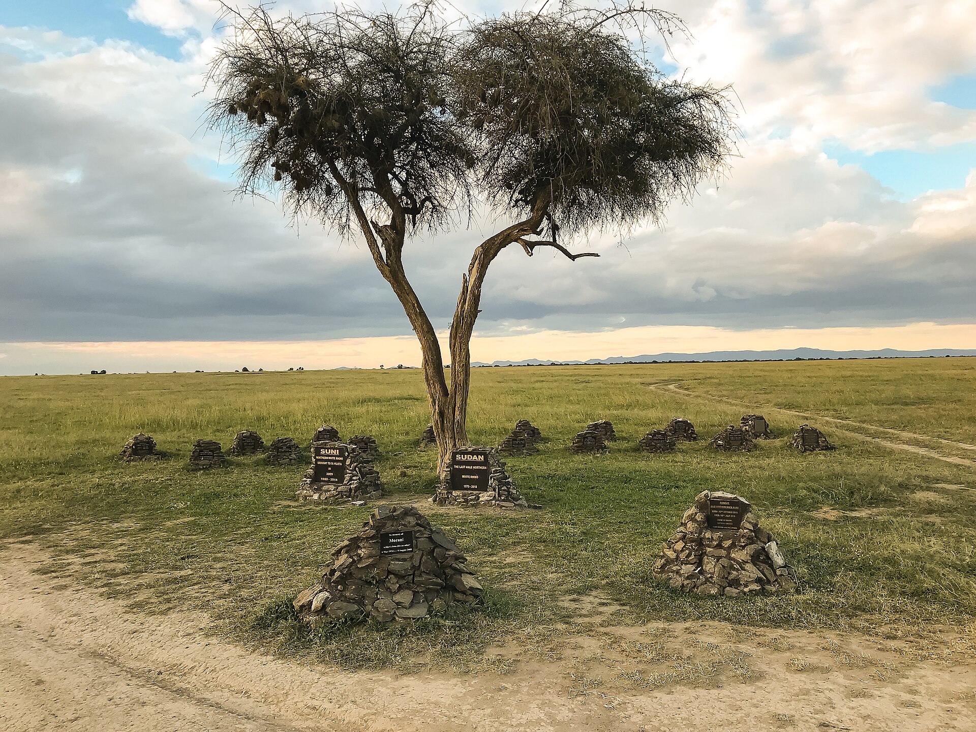 Ol Pejeta Rhino Cemetery & Memorial, Remembering Sudan (the last male northern white rhino) One Year On